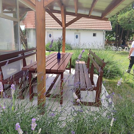 Mirella Rooms Palic Exterior photo